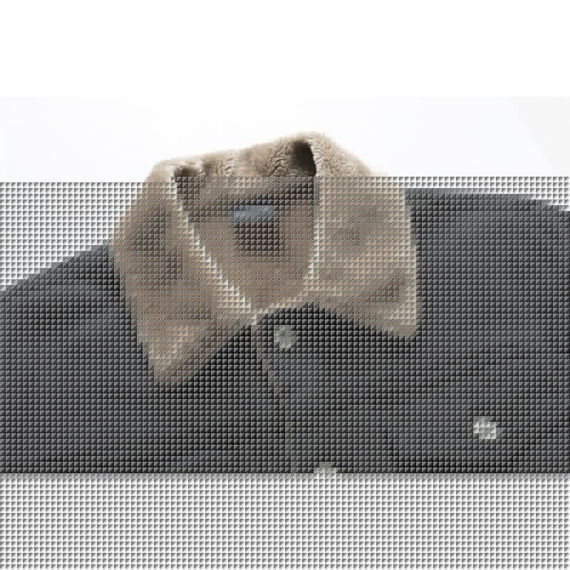 Herren-Denimjacke mit Innenfutter